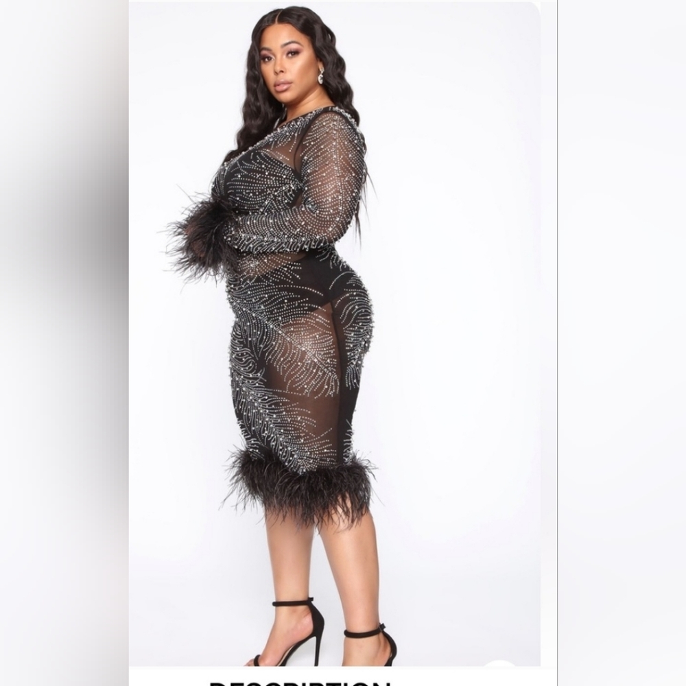 Fashion Nova Plus Size Feather Trim Beaded Sheer Mesh Dress - Picture 6 of 15